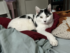 My Life in the Closet photo