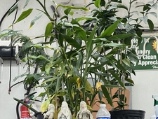 Puncture Stories photo