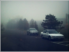 The Secret of Healers and Monsters photo