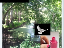 Cosmically Forsaken photo