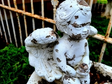 You have the ass of a fully grown cherub photo