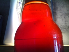 Anatomy of a Ruined Wingspan photo