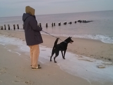 The Pretenders photo