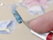 I Appreciate the Company photo