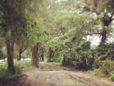 Field Guide for Fools photo