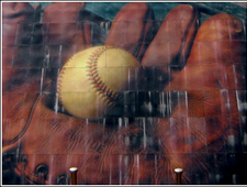 Heart of the Hide photo