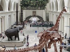 First Time at the Field photo