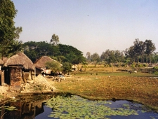 In the Service of Unknown Gods photo