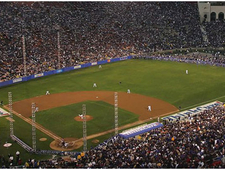 Not Just Another Day at the Ballpark photo