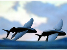 How Thurleen Met Skeeter photo