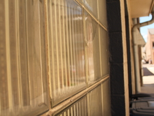 It's Pity Sex for the Both of Us photo