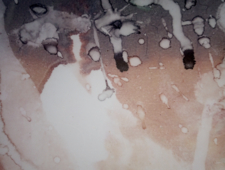 Three poems on our precious context photo