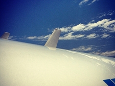 The Beauty Mark photo