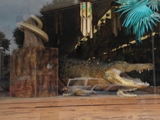 Vengeful Ghosts photo