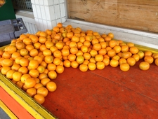 Selected Entries from The Daily Log of Personal to Professional Proceedings by Saul Goodman photo