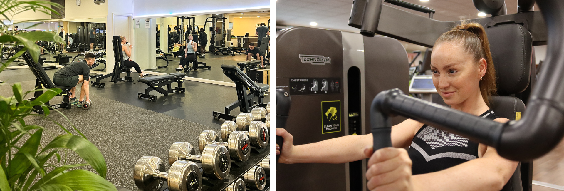 The Hogarth Club Gym
