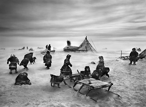 Nenet Nomads Camp, Siberia, Russia