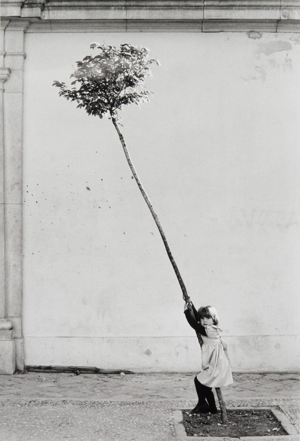 Petite Fille Petit Arbre Espagne Holden Luntz Gallery