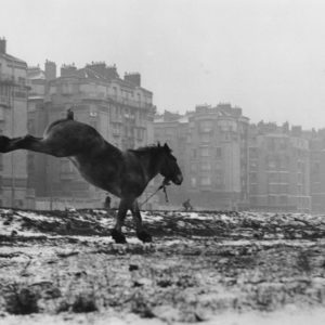 Cheval