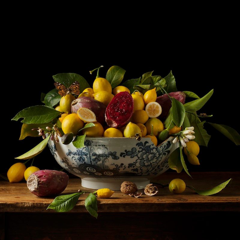 Lemons and Prickly Pears