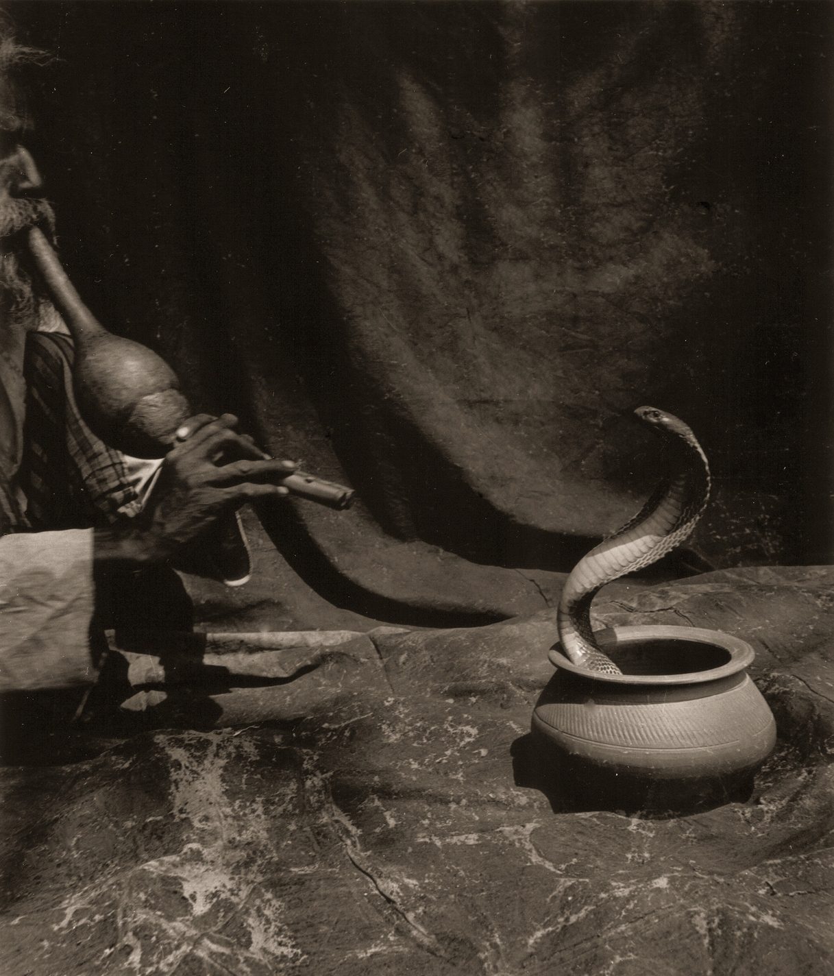 Bharat Tasvir (Snake Charmer)