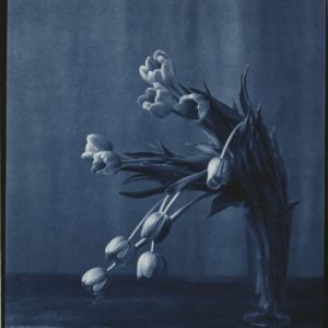 Cascade