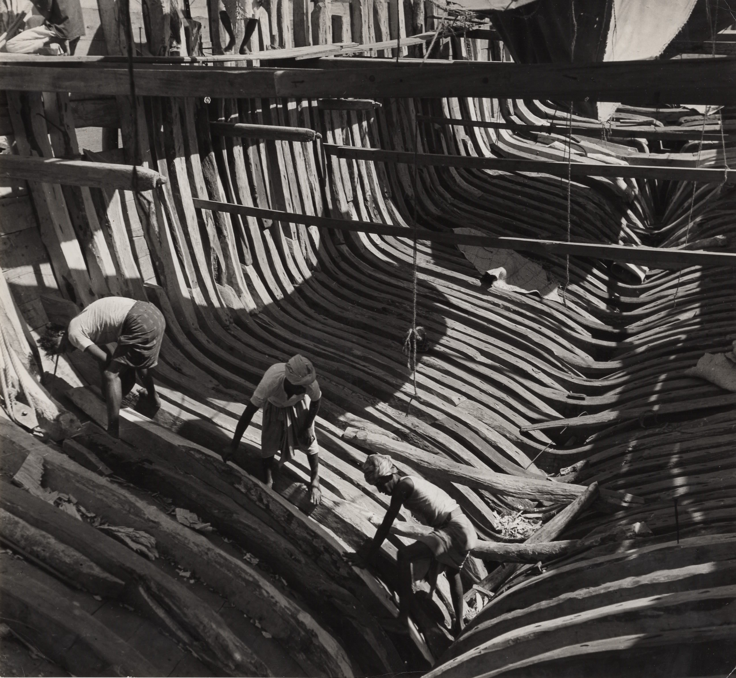 Meilleure Collection Image Charbonnier Image Mesange Charbonniere Imagesgratuiteszwz