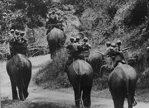 Elephants Carrying Soldiers, Vietnam