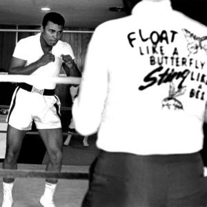 Ali Float Like a Butterfly, Miami