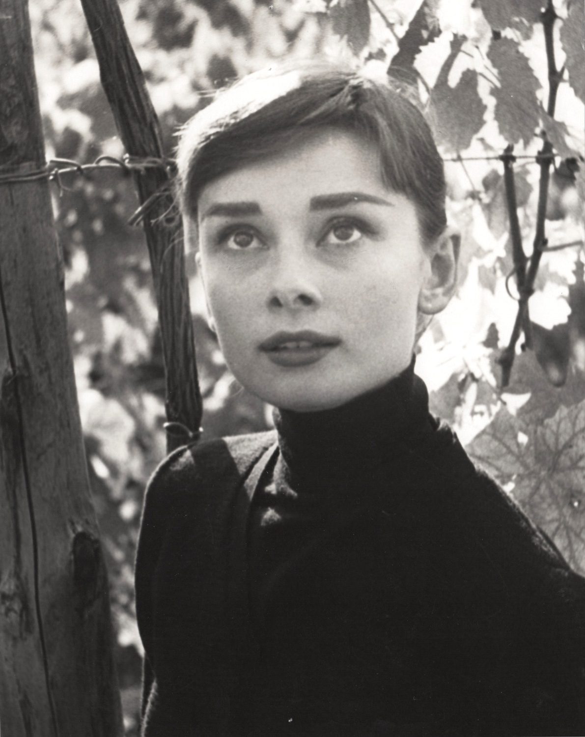 Audrey, Italy