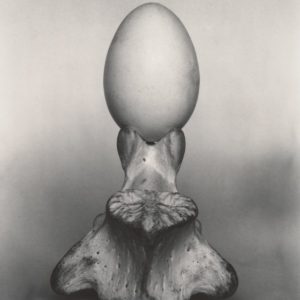 Egg (and bone)