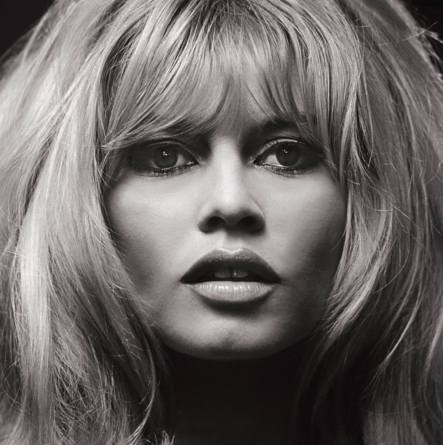 Brigitte bardot xxx