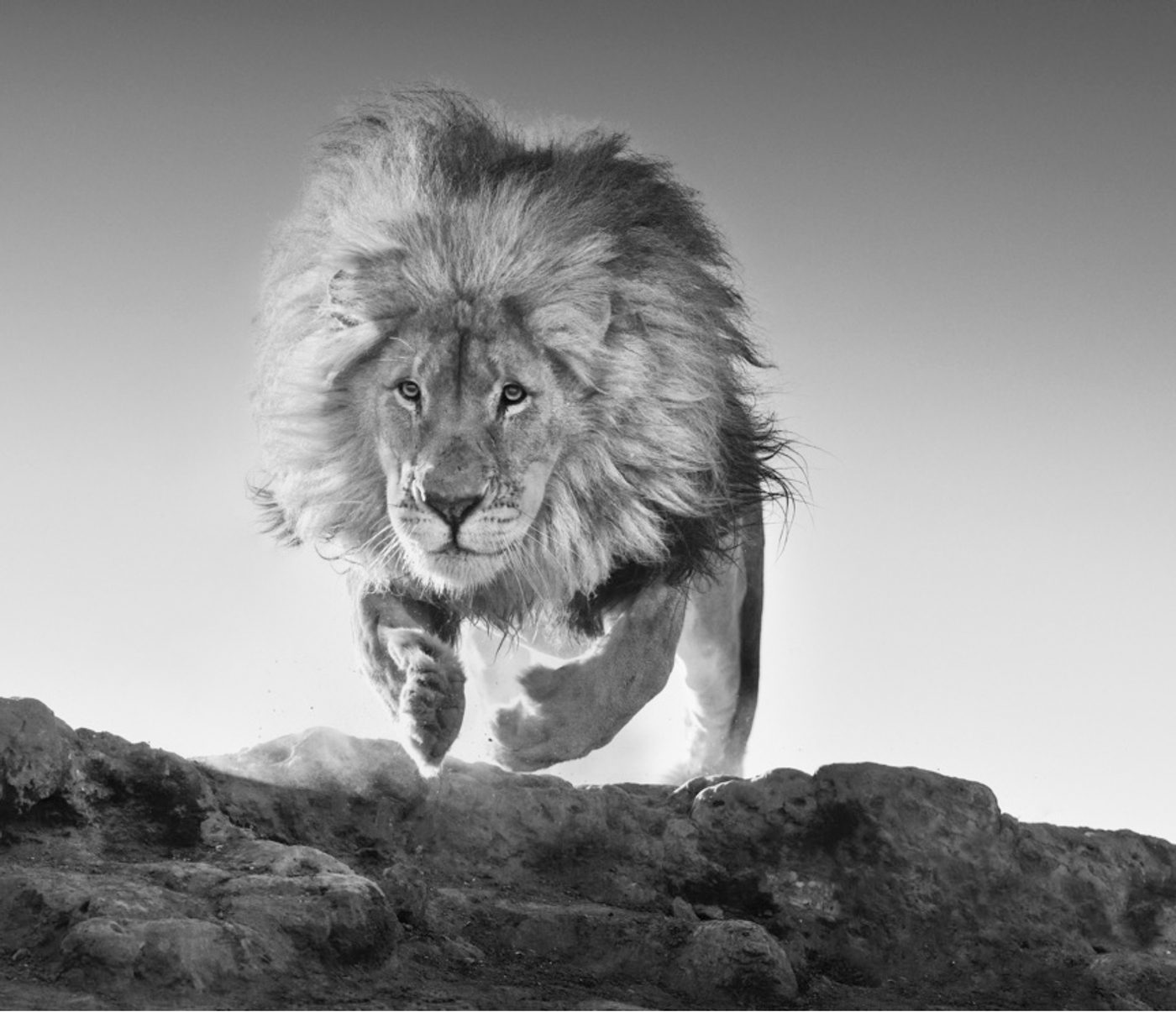 Hairspray, Dinokeng, South Africa
