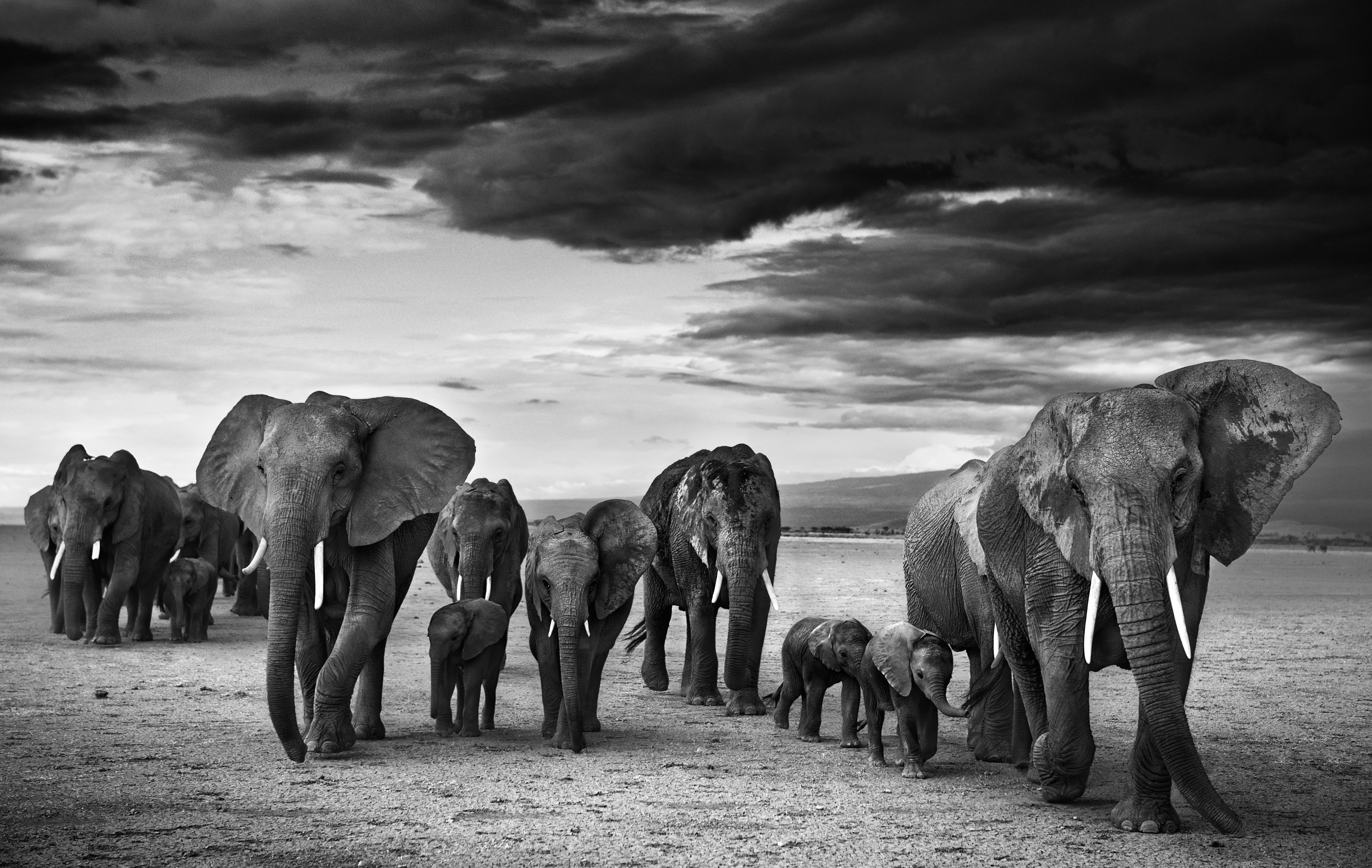 Family, Amboseli, Kenya
