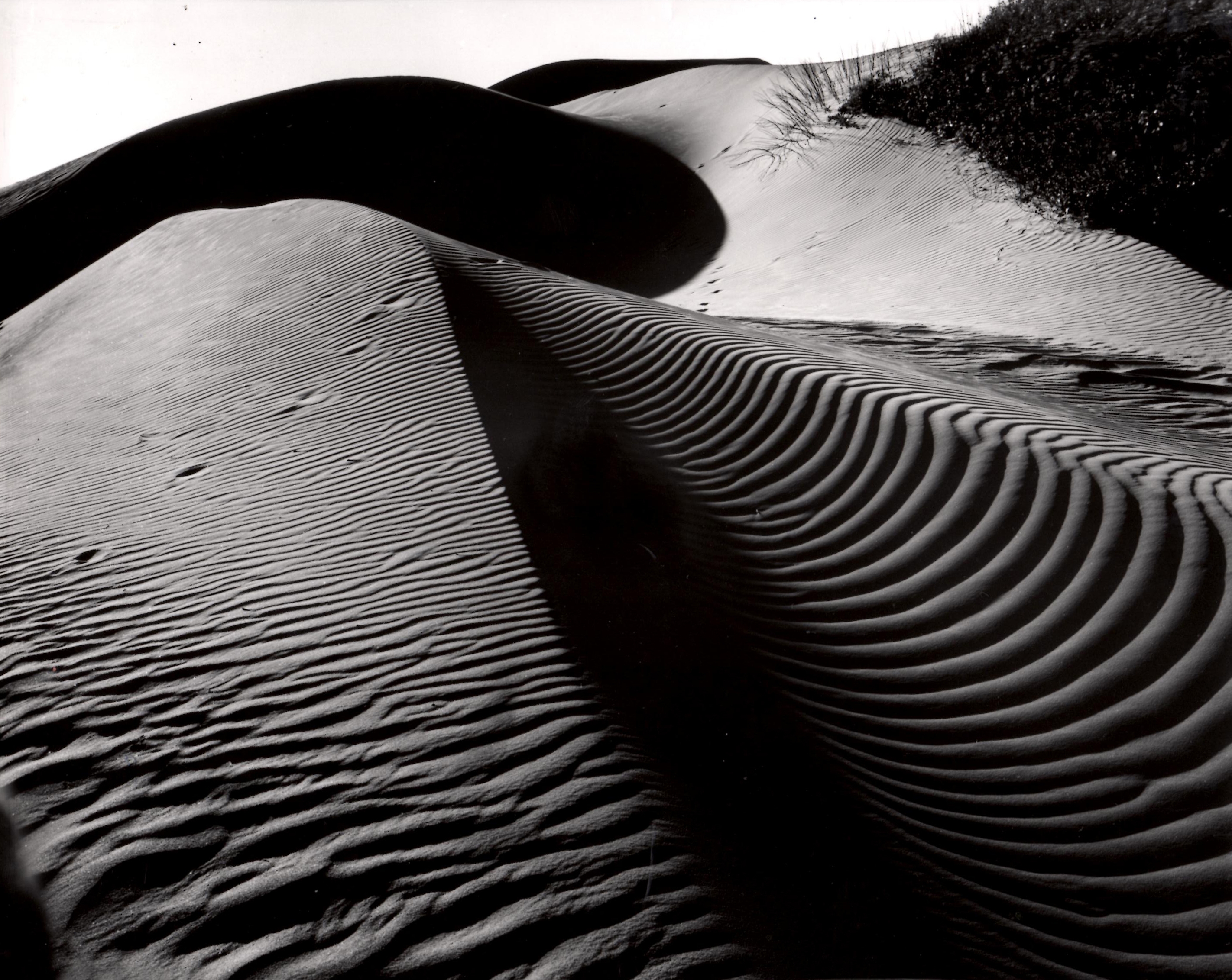 Dune, Oceano