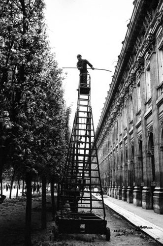 Street Ladder, Paris