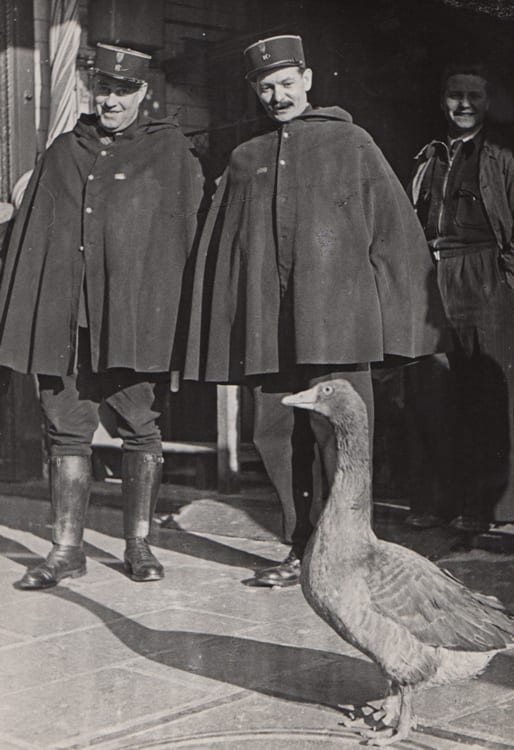 Ylla (Camilla Koffler), Leggings and Pelerines (Capes)