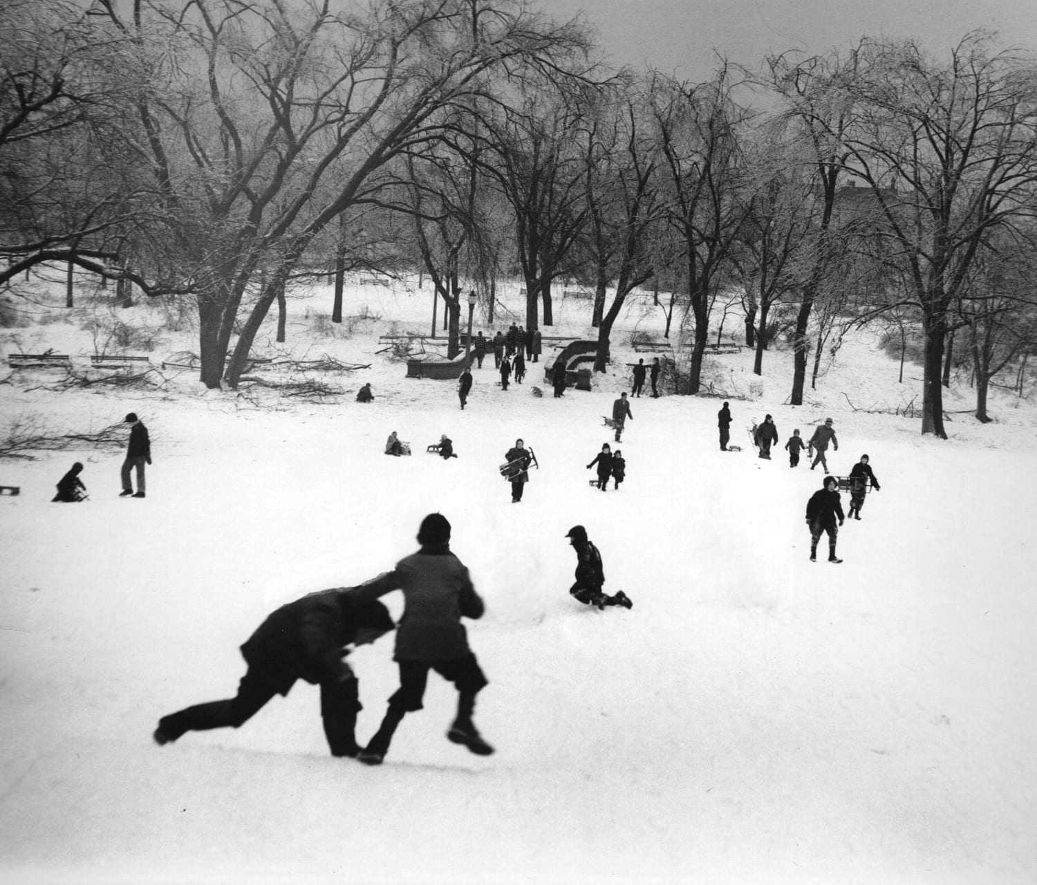 William Witt, Winter Park Scene