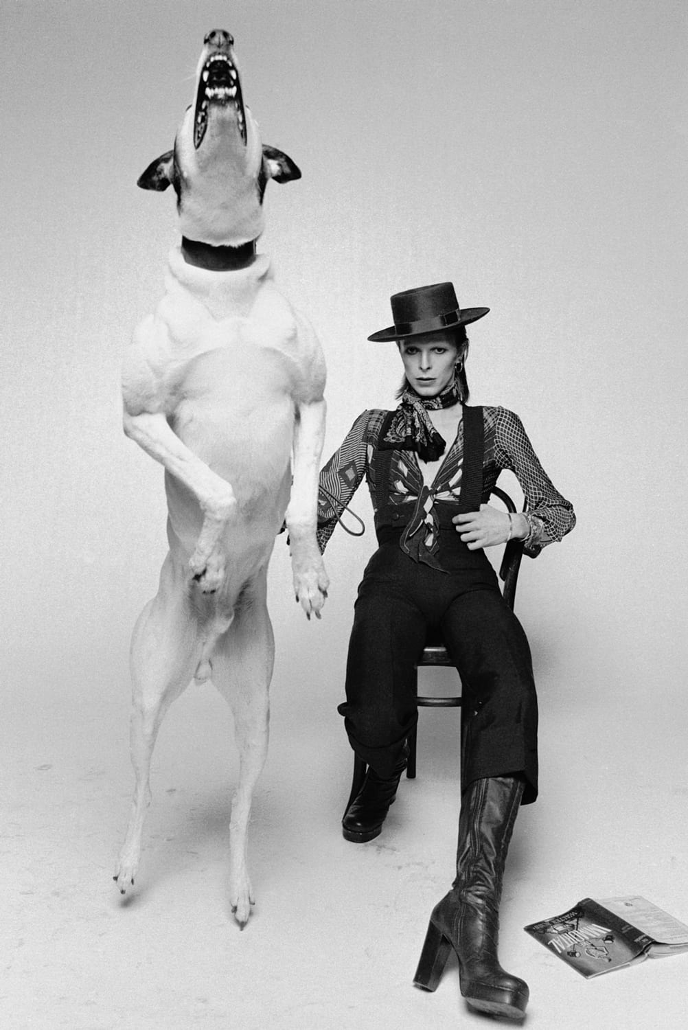 Terry O'Neill David Bowie, Diamond Dogs