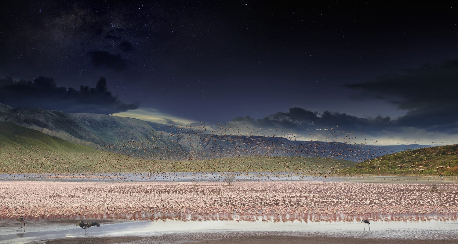 Stephen Wilkes, Flamingos, Lake Bogoria, Kenya (Day to Night)