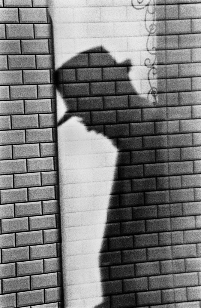 Renato D'Agostin, Tokyo (Shadow of Man)