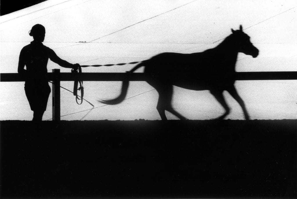 Renato D'Agostin, Lexington, Kentucky