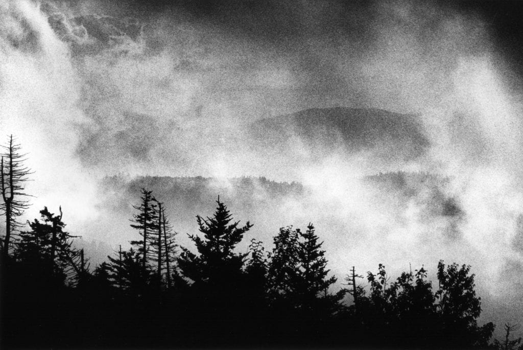 Renato D'Agostin, Great Smoky Mountains, Tennessee