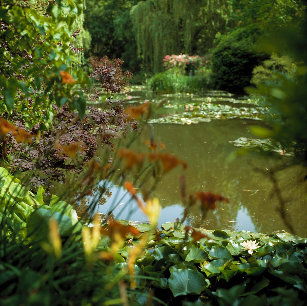 Neil Folberg, Lily Pond, Giverny, 2003, Ultrachrome Photograph