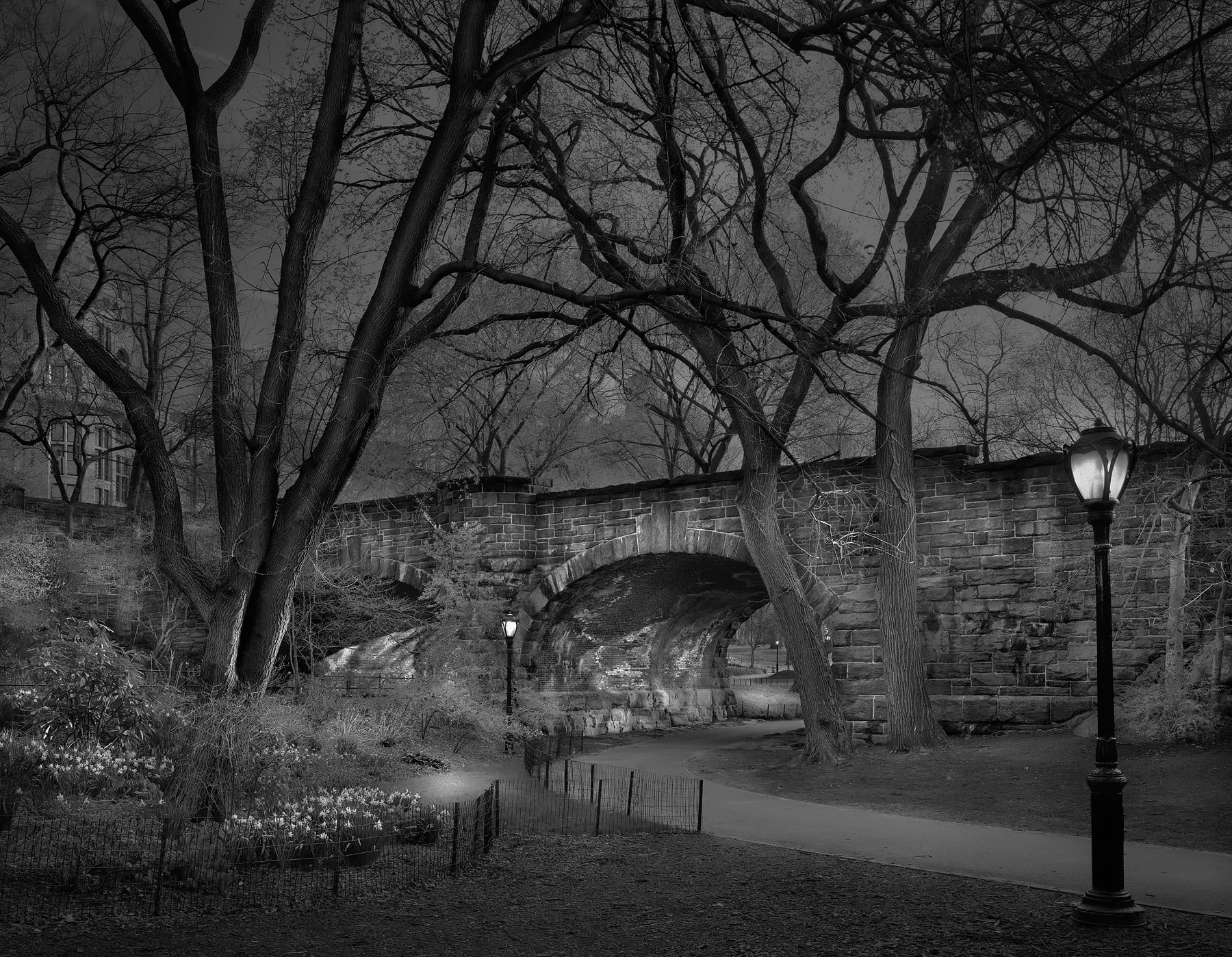 Michael Massaia, Deep In A Dream - Central Park - Central Park "West Side Sunrise", 2009, Gold and Selenium Toned Silver Gelatin Photograph Michael Massaia, Deep In A Dream - Central Park - Central Park "West Side Sunrise", 2009, Gold and Selenium Toned Silver Gelatin Photograph