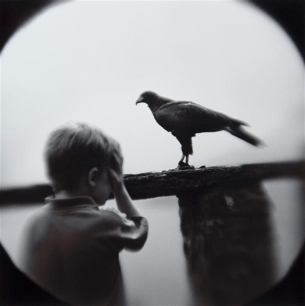 Keith Carter, Boy with Hawk, 2005, Toned silver gelatin photograph