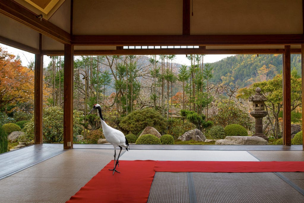 Karen Knorr, Journey to the Great Sage, Jikko-in Temple, Ohara