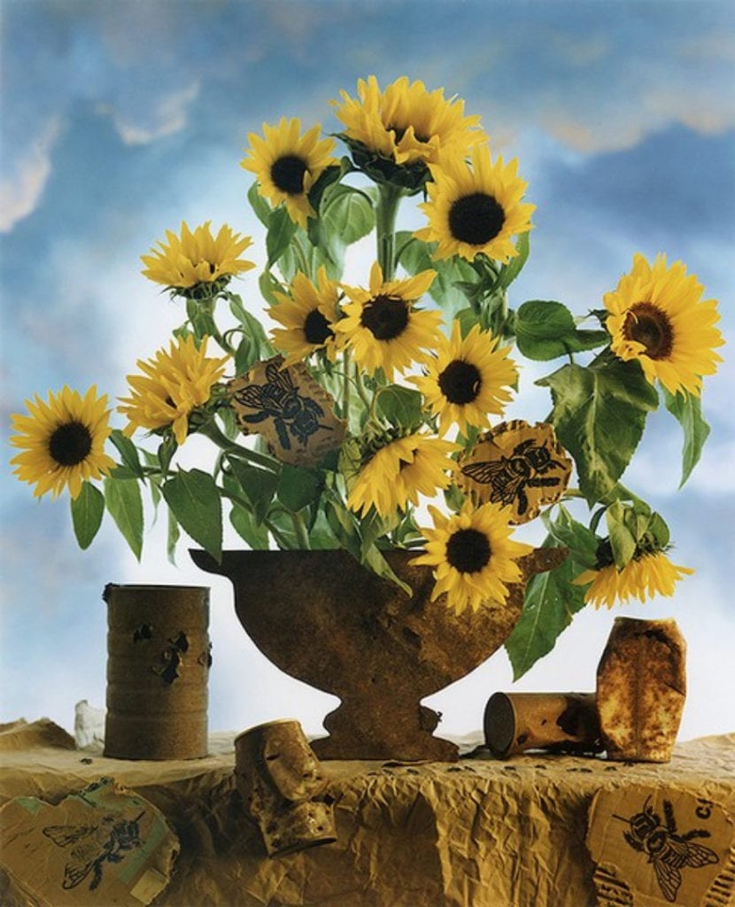 Jo Whaley, Cross-Pollination