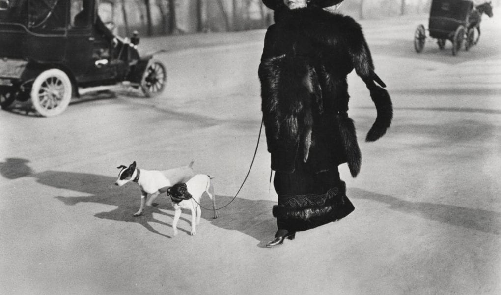 Jacques-Henri Lartigue, Woman With Fox Fur, Avenue Des Acacias