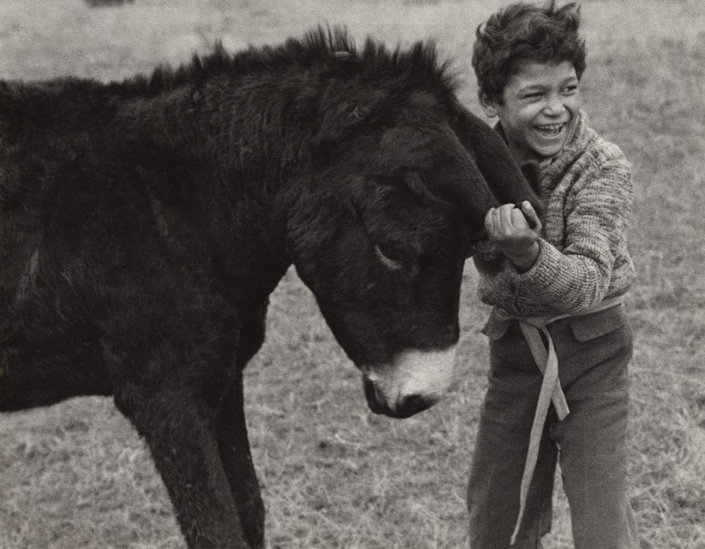 Jacko Vassilev, To Catch The Donkey By The Ears, Bulgaria